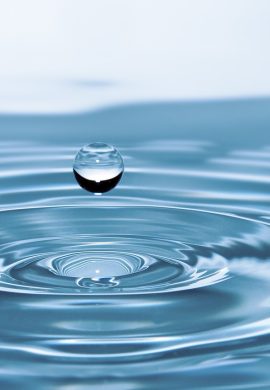 Dia Mundial da Água: conscientização é a fonte para a conservação desse recurso finito - TEC News