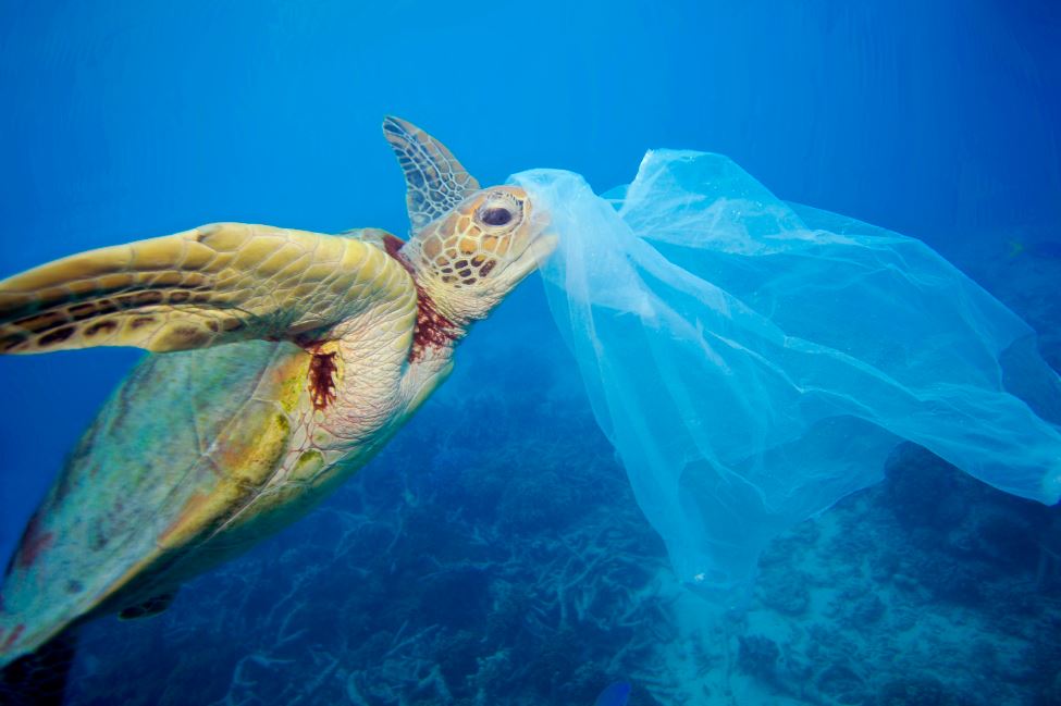 Pressão popular exige tratado global para combater poluição dos plásticos descartáveis - Fitec Tec News
