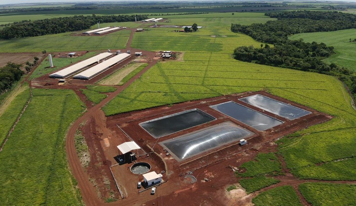 Seara incentiva produtores de suinocultura na produção de biogás - Fitec Tec News