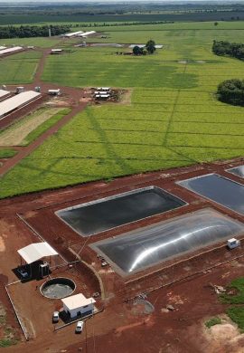 Seara incentiva produtores de suinocultura na produção de biogás - Fitec Tec News