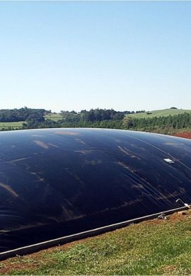 Biogás ganha protagonismo no Brasil como fonte de energia renovável e sustentável - Fitec Tec News