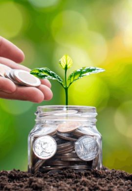 Valorizando o verde o potencial dos ativos ambientais no setor financeiro - Fitec Tec News