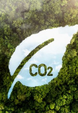 Entenda os Créditos de Carbono da origem ao impacto no desenvolvimento econômico e sustentável - Fitec Tec News