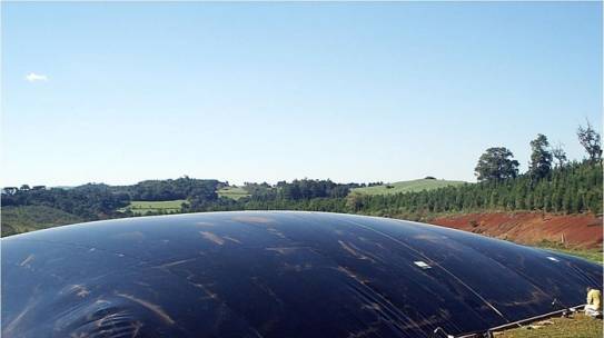 Biogás ganha protagonismo no Brasil como fonte de energia renovável e sustentável