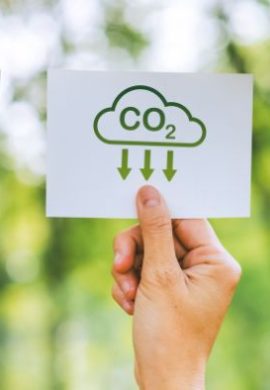 CarbonoB e Sympla lançam ingresso com impacto ambiental positivo - Fitec Tec News