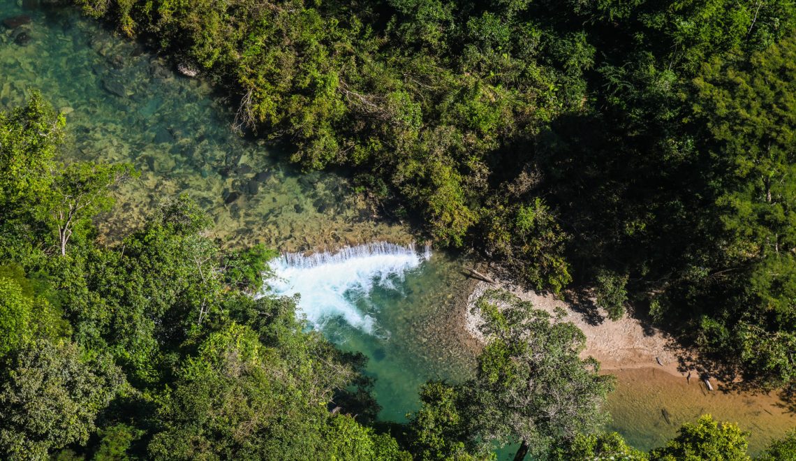 Projeto Água Vida coloca a arte da fotografia a serviço da recuperação e conservação ambiental - Fitec Tec News