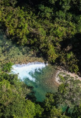 Projeto Água Vida coloca a arte da fotografia a serviço da recuperação e conservação ambiental - Fitec Tec News