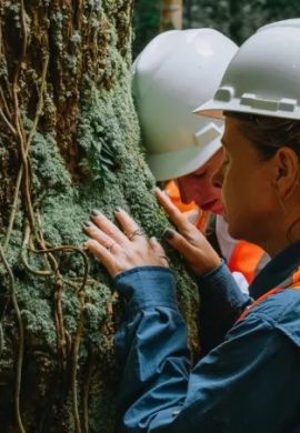 Projeto incentiva conhecer a Amazônia por meio da experiência sensorial - Fitec Tec News