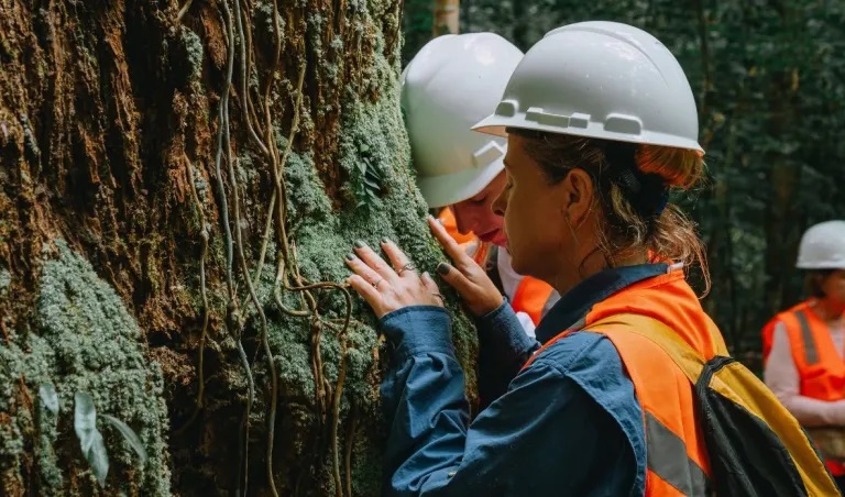 Projeto incentiva conhecer a Amazônia por meio da experiência sensorial - Fitec Tec News