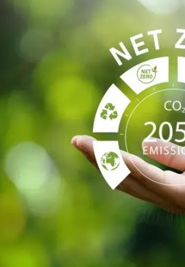 ISO pretende lançar novo padrão internacional Net Zero na COP30 - Fitec Tec News