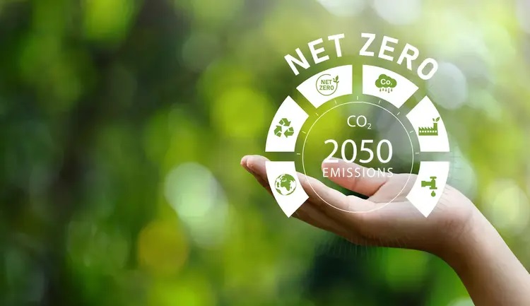 ISO pretende lançar novo padrão internacional Net Zero na COP30 - Fitec Tec News