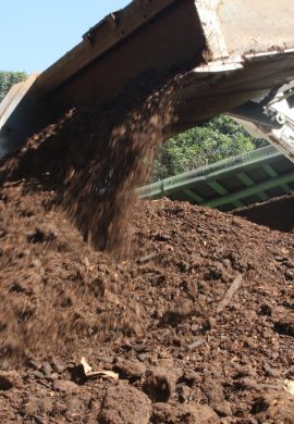 Núcleo de Produção de Composto Orgânico fomenta gestão de resíduos na capital paulista - Fitec Tec News