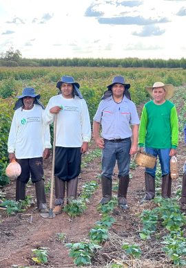 Crédito acessível constrói uma ponte para o crescimento da sustentável da Agricultura Familiar - Fitec Tec News