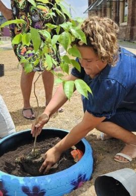 Hospitais são premiados por iniciativas em prol do meio ambiente - Fitec Tec News