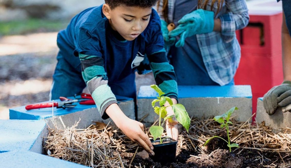 Escolas sustentáveis destacam projetos de liderança feminina e educação ambiental - Fitec Tec News