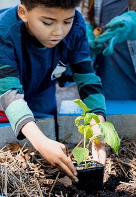 Escolas sustentáveis destacam projetos de liderança feminina e educação ambiental - Fitec Tec News