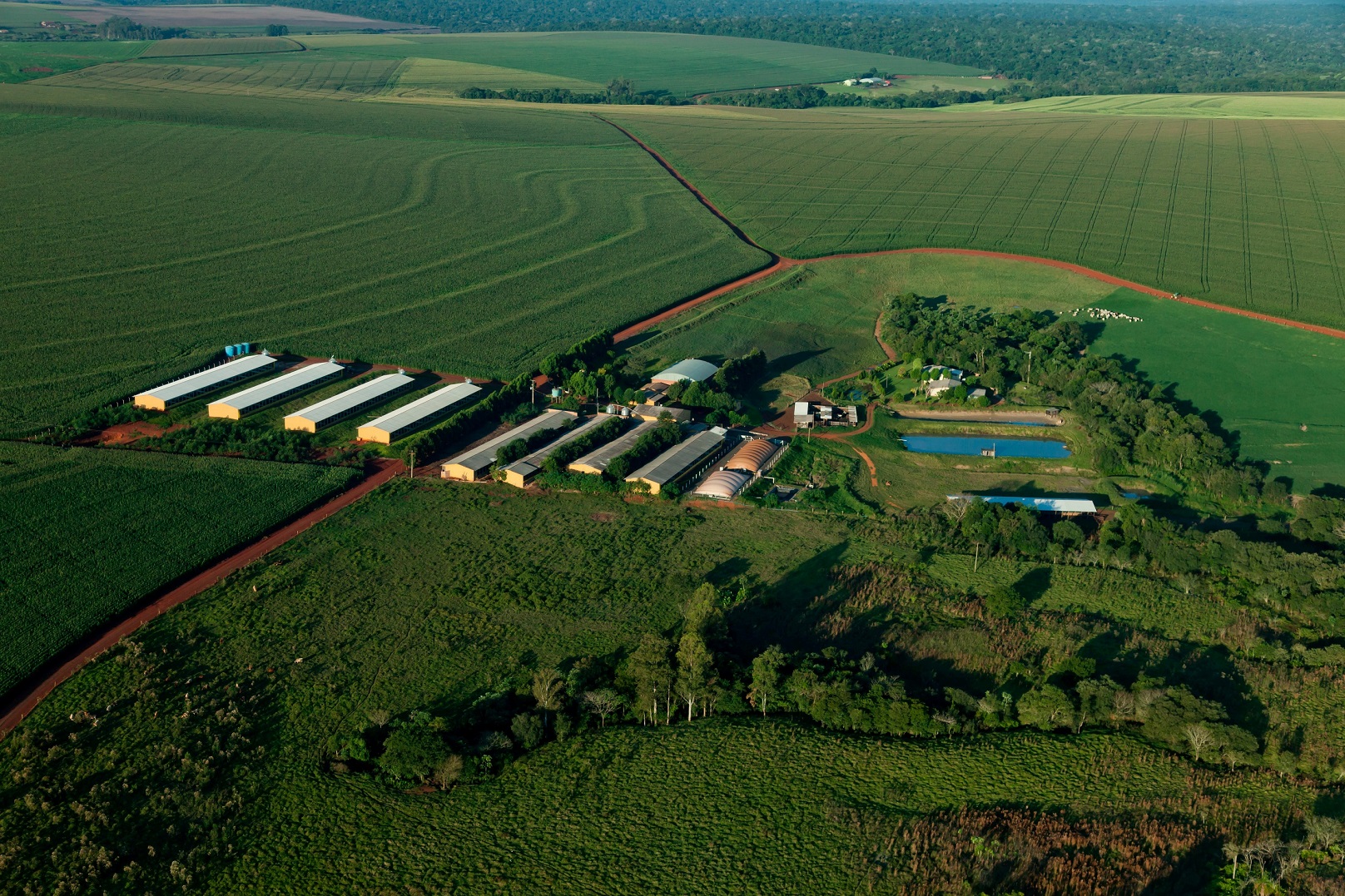 Startups contam com programa de inovação pela Itaipu Binacional e o ...