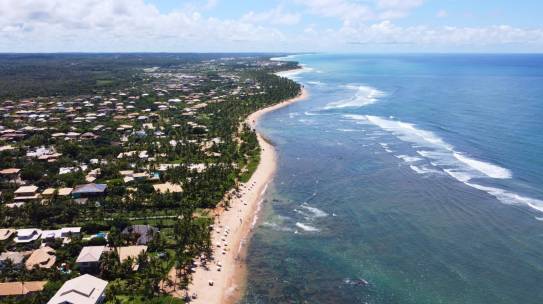 Praias preservadas: projetos brasileiros inspiram a conservação costeira