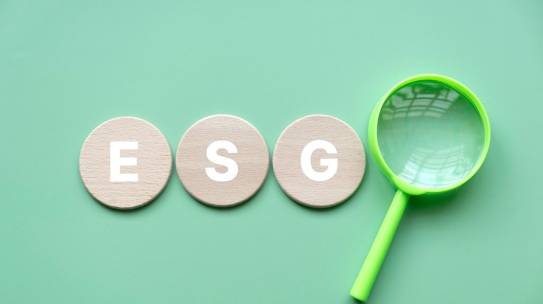 Tendências em ESG norteiam empresas de todos os níveis