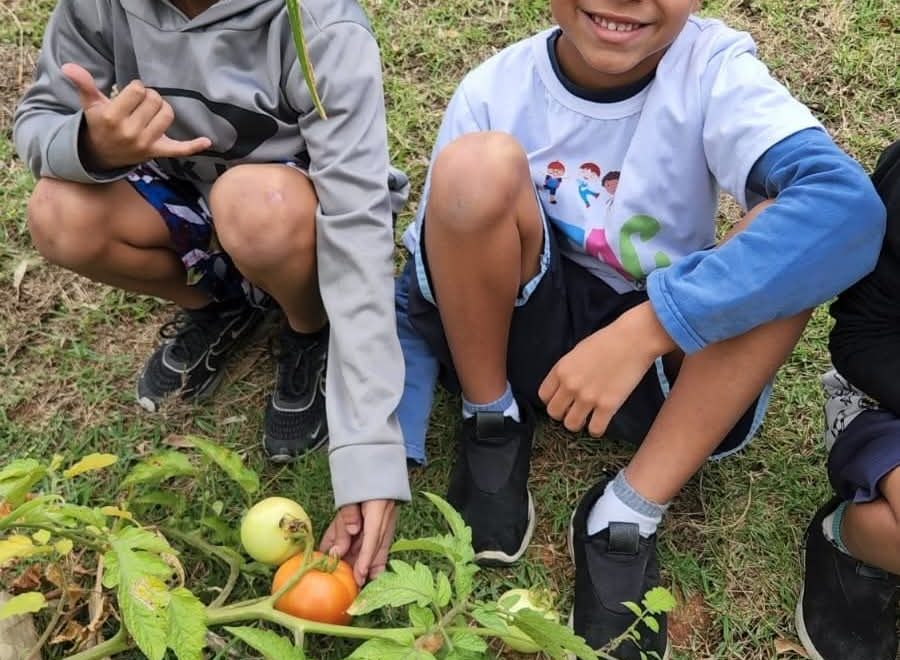 Integrar a Educação Ambiental no currículo escolar cultiva a conexão com a natureza desde a primeira infância - Fitec Tec News