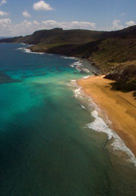 Do drone aos corais de proveta a revolução tecnológica conserva a natureza no Brasil - Fitec Tec News