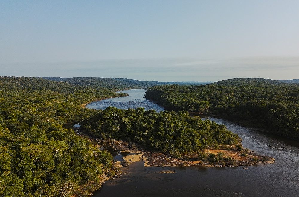 Estudos apontam crescimento de negociações e inovações no mercado de carbono - Fitec Tec News