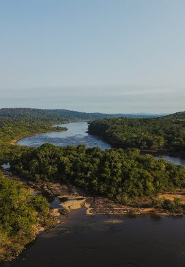 Estudos apontam crescimento de negociações e inovações no mercado de carbono - Fitec Tec News