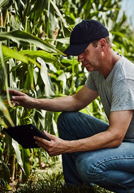 Sistemas de irrigação tecnologia que está revolucionando o uso da água na agricultura - Fitec Tec News