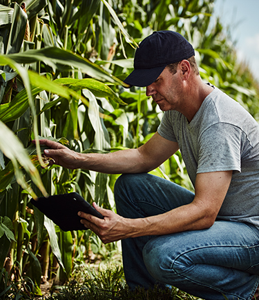 Sistemas de irrigação tecnologia que está revolucionando o uso da água na agricultura - Fitec Tec News