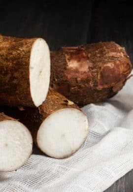 Cascas de alimentos são reaproveitadas na produção de insumos para biocombustíveis e fertilizantes orgânicos - Fitec Tec News