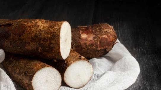 Cascas de alimentos são reaproveitadas na produção de insumos para biocombustíveis e fertilizantes orgânicos