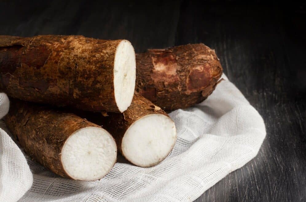 Cascas de alimentos são reaproveitadas na produção de insumos para biocombustíveis e fertilizantes orgânicos - Fitec Tec News