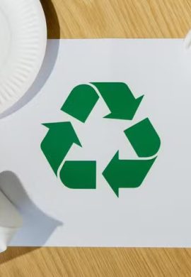 Gestão de resíduos urbanos é ponto chave na transição para a economia circular - Fitec Tec News