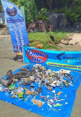 Projeto transforma plástico recolhido do mar em soluções sustentáveis, que auxiliam conservação costeira e marinha - Fitec Tec News