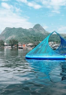 Iniciativas levam educação ambiental aos mais diversos públicos - Fitec Tec News