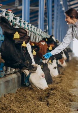 Saúde Animal lidera aliança pela Pecuária Sustentável de olho na COP30 - Fitec Tec News