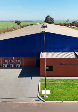 Setor sucroenergético alinha suas operações com compromisso ambiental - Fitec Tec News