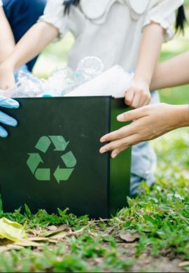 Buscas por itens que são recicláveis saltam 50%; veja ranking com os produtos que mais geram dúvidas nos brasileiros - Fitec Tec News