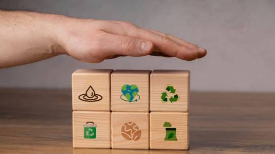COP30: especialistas opinam sobre negócios de impacto no contexto ESG