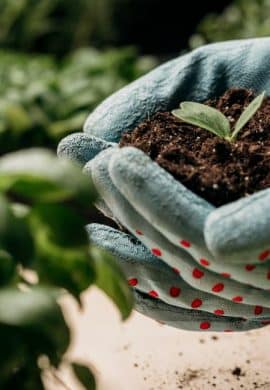 Financiamento verde no campo sustentabilidade e recuperação de crédito revolucionam futuro do Agronegócio - Fitec Tec News