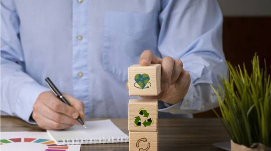 Sustentabilidade no franchising: como as empresas estão inovando com práticas ESG