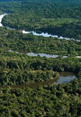 Brasil no centro do ESG país pode se destacar no futuro da sustentabilidade global - Fitec Tec News