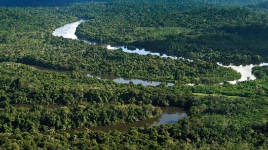 Brasil no centro do ESG: país pode se destacar no futuro da sustentabilidade global