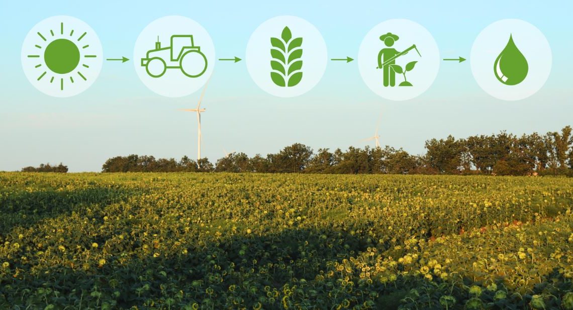 Com potencial de alcançar US$ 12 bilhões até 2030, mercado de bioenergia depende da tecnologia para crescer de forma segura - Fitec Tec News