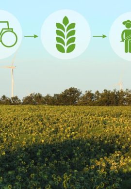 Com potencial de alcançar US$ 12 bilhões até 2030, mercado de bioenergia depende da tecnologia para crescer de forma segura - Fitec Tec News