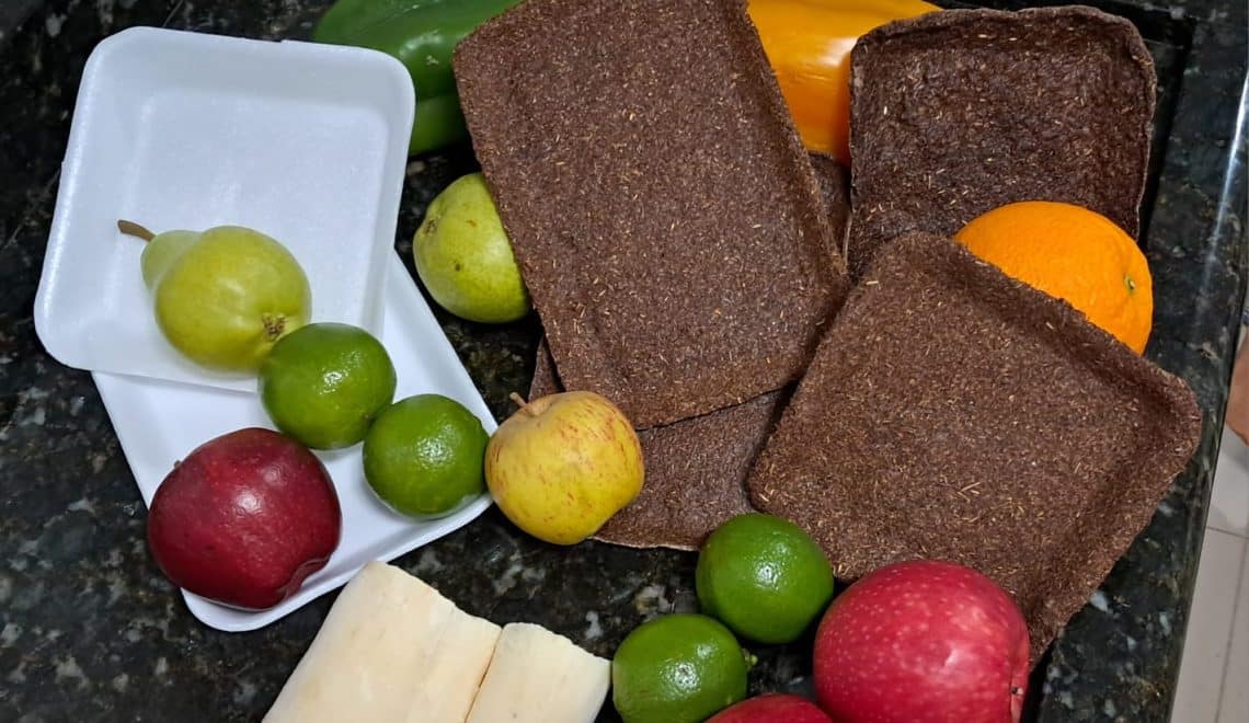 Escolas usam do conhecimento e criatividade para difundir a sustentabilidade - Fitec Tec News