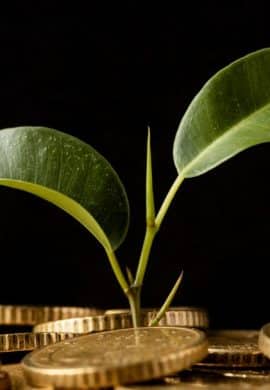 Bolsa de ação climática anuncia benefícios inéditos para empresas na COP30 - Fitec Tec News