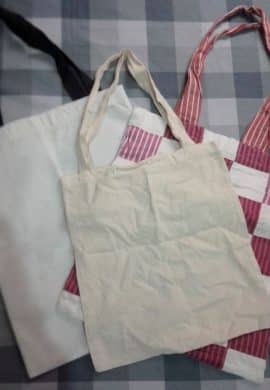 Ecobags carregam escolhas, geração de renda e novas ideias ambientais - Fitec Tec News