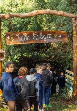 Primavera dos Museus destaca o meio ambiente e reforça compromisso socioambiental do MEA - Fitec Tec News